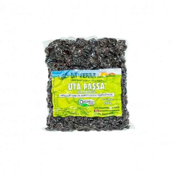 Uva Passas Orgânico 250g - Sol da Terra