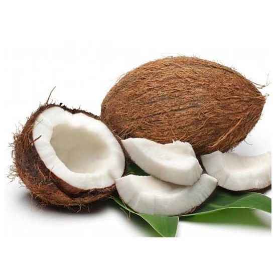 Coco Seco Orgânico Un - O.S.M.