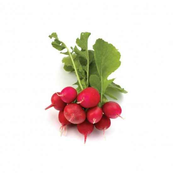 Rabanete Orgânico Bdj 300g - O.S.M.