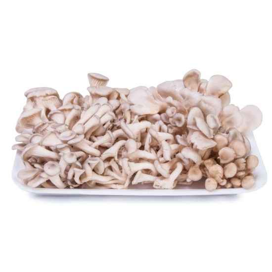 Cogumelos Shitake Bio . 1 caixa