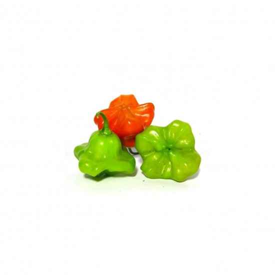 Pimenta Cambuci Orgânica 100g - OSM