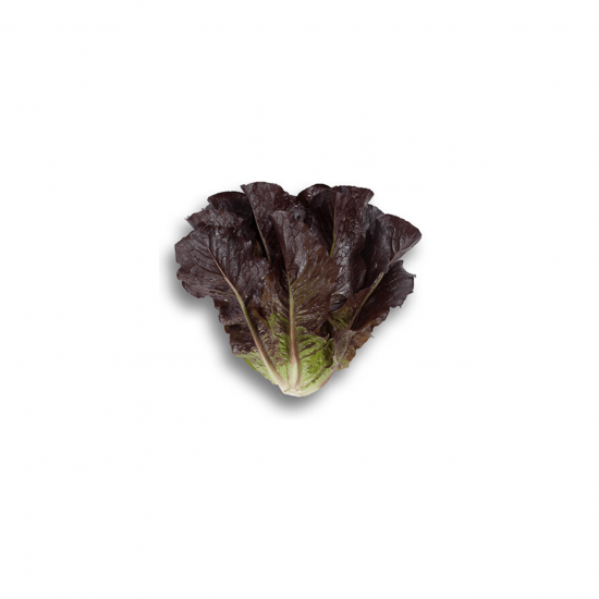 Alface Mini Romana Roxa Orgânica 150g - OSM