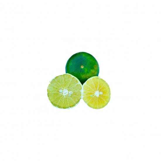 Laranja Champanhe Orgânica 600g - OSM