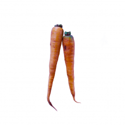 Cenoura Amarela Orgânica 300g - OSM