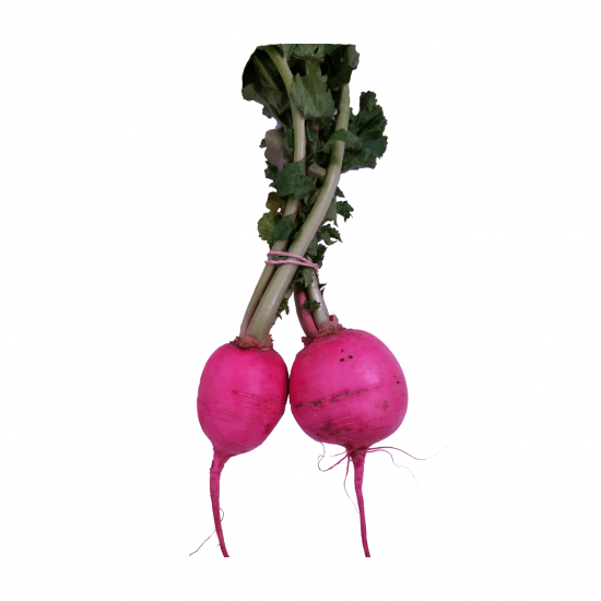 Rabanete Japonês Rosa Orgânico 300g - OSM