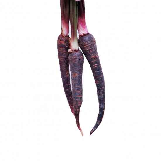 Cenoura Roxa Orgânica 300g - OSM