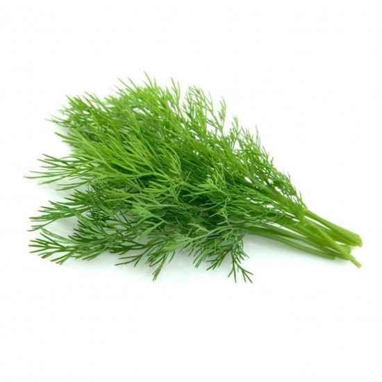 Dill Orgânico Mç - OSM