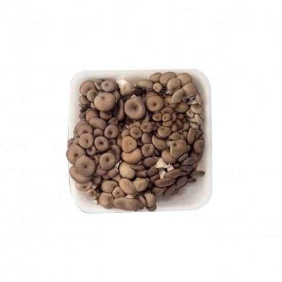 Cogumelo Shimeji Preto Orgânico Bdj 200g - OSM