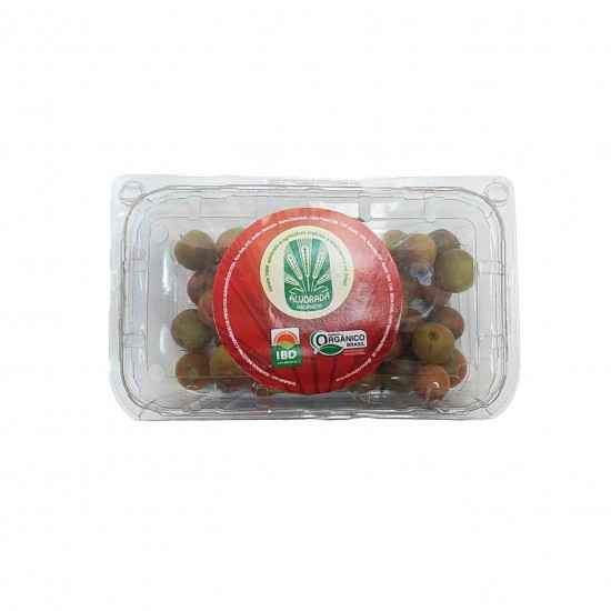 Fruta Ora Pro Nobis Orgânica 250g - OSM