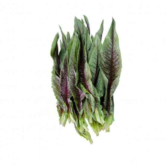 Almeirão Roxo Orgânico Mç - OSM