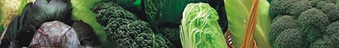 Verdura Orgânica você encontra MercadoOrganico.com