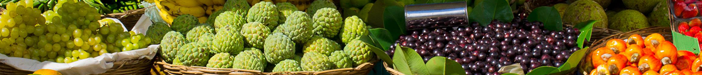 Frutas Orgânicas In Natura | MercadoOrganico.com