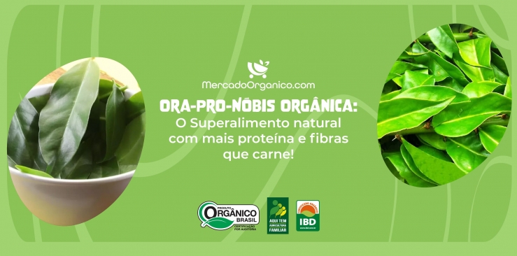 Ora-Pro-Nóbis Orgânica: O Superalimento Natural com mais Proteína e Fibras que carne!